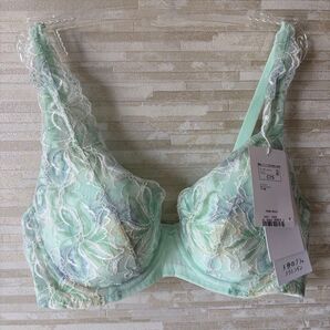 C75」トリンプ 天使のブラ(R) スリムライン582 ブラジャー