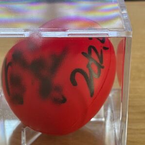 菊池風磨 サインボール