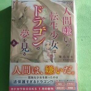 人間嫌いの転生少女はドラゴンの夢を見る 上 香住なな/岩崎美奈子