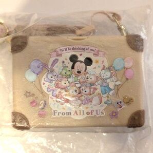 未使用【ディズニーシー入園者限定 販売終了品】スーベニアミニスナックケース ダッフィー&フレンズのフロムオールオブアス