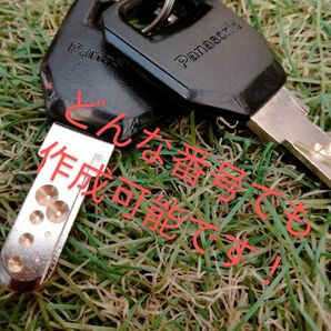 電動アシスト自転車 電動自転車 スペアキー 2本セット 合鍵