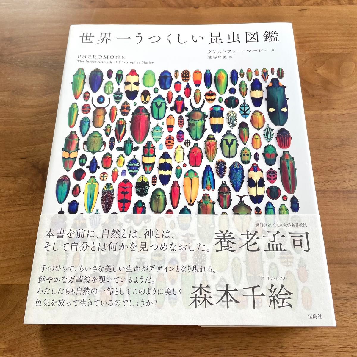 世界一うつくしい昆虫図鑑 PHEROMONE The Insect Artwork of Christopher Marley