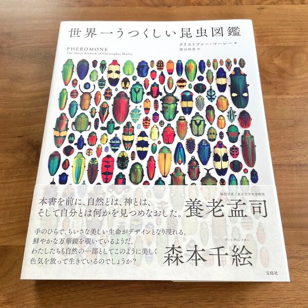 世界一うつくしい昆虫図鑑 PHEROMONE The Insect Artwork of Christopher Marley