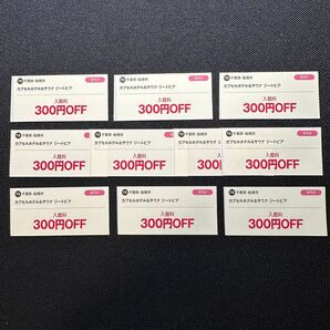 千葉県 船橋市 カプセルホテル&サウナ ジートピア 入館料300円OFF券10枚