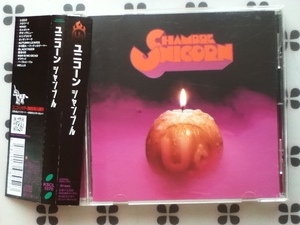 CD ユニコーン「シャンブル」帯付きCHAMBRE UNICORN