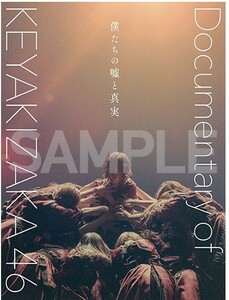 即決・映画パンフレット+チラシ ◎ 僕たちの嘘と真実 DOCUMENTARY of 欅坂46