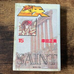 聖闘士星矢 15巻