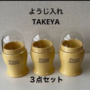 ☆TAKEYA☆清潔フタ付き☆Prooようじ入れ☆
