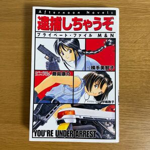逮捕しちゃうぞ プライベート ファイル Afternoon Novels
