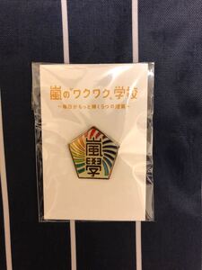 嵐のワクワク学校　　ピンバッジ