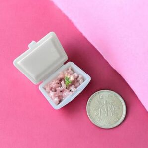 No.966 とっても小さな1円玉サイズ ミニチュアフード お赤飯 フードパック入り スーパーお惣菜 運動会 贈り物 ハンドメイド