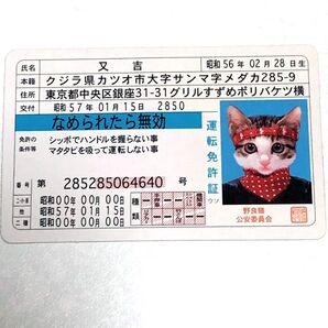 なめ猫 免許証風カード 又吉 希少 レア レトロ 当時物