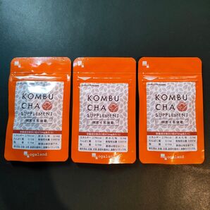 『 コンブチャ/ 約1ヶ月分 3袋 』■ 発酵紅茶エキス末 / ナノ型乳酸菌 / 220種 植物発酵エキス