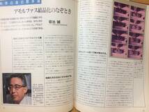 Newton Vol.7 No.5 ニュートン1987年5月号 田中昭二 長田義仁 日江井栄二郎 江口吾朗_画像8