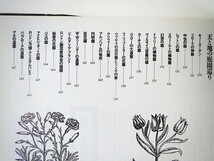 荒俣宏「花の王国 第1巻 園芸植物」平凡社 ◎ 植物学 庭園 植物図鑑_画像9