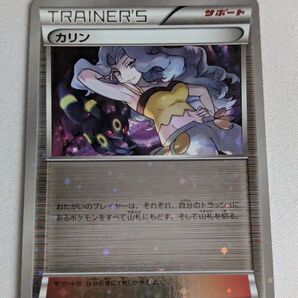 価格の相談却下 カリン ミラー 142/171