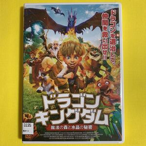 DVD ドラゴンキングダム 魔法の森と水晶の秘密 レンタル落ち