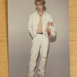 藤原樹 マース Mars ポストカード