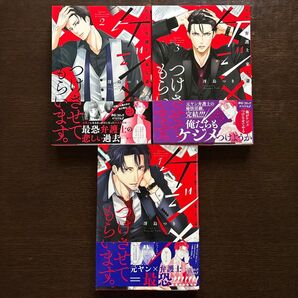 ケジメつけさせてもらいます。 元ヤン弁護士東矢斎 1〜3 (Only Lips comics めちゃコミックオリジナル) 冴島つき