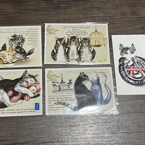 ポストカード 猫