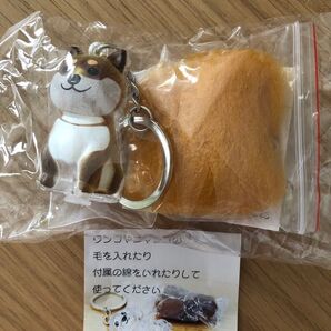 いつもわんちゃんと一緒 おでかけ毛入れキーホルダー 柴犬 シバイヌ 未開封