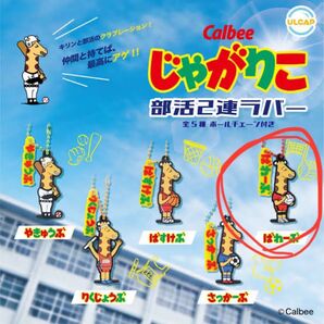 Calbee じゃがりこ 部活応援ラバーキーホルダー バレー部