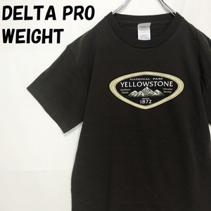 【人気】DELTA PRO WEIGHT/デルタプロウェイト 半袖 プリント Tシャツ イエローストーン国立公園 ブラウン サイズS/S823