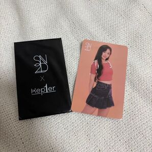 SN2D Kep1er イェソ トレカ