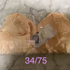 新品★ブラジャー シームレス しぼり 34/75ベージュ ワイヤーレス 2729