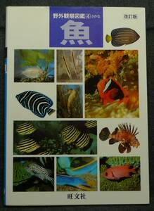 【希少】古本　魚　野外観察図鑑　４　改訂版　（株）旺文社