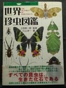 【希少】【美品】古本　世界珍虫図鑑　オリクテロプス自然博物館シリーズ　監修；上田恭一郎　著者；川上洋一　（株）桜桃書房