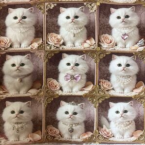 90cm*110cm(幅) 新柄フランスバロック様式64匹可愛い白猫パール薔薇飾りシーチングプリント生地布地綿布
