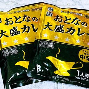 【数量限定】送料無料 即日発送 レストラン仕様 業務用 レトルトカレー おとなの大盛カレー 中辛 220g×2袋 長期保存食