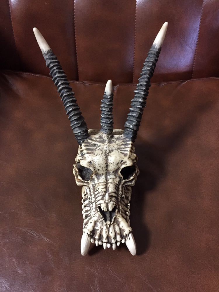 ドラゴンの頭蓋骨の壁掛け 剥製置物ファンタジー雑貨竜インテリア装飾
