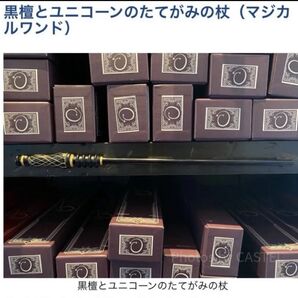 お値下げ可 マジカルワンド カウントダウンボーナスクーポン併用可 USJで魔法を使えます!黒檀とユニコーンのたてがみ ハロウィン