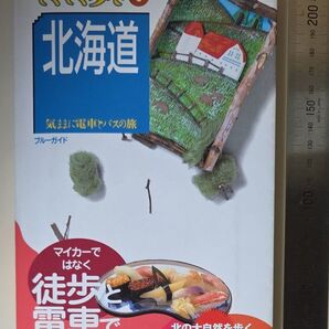 てくてく歩き 北海道 ブルーガイド 徒歩と電車で旅する 超特大マップつき