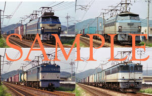 F【鉄道写真】Ｌ版８枚　ＥＦ６５　ＥＦ６６　ＥＦ２００　貨物列車　（４）