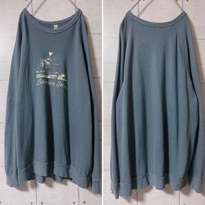 ALTERNATIVE メンズ プリント スウェット XL ビッグサイズ 古着