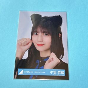 日向坂46 小坂菜緒 ハロウィン2024衣装 生写真 ヨリ