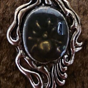 スパイダーIN シルバー トップ