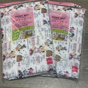 レジャーシート