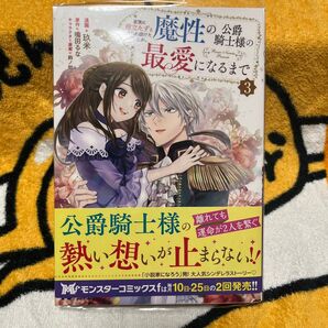 家族に役立たずと言われ続けたわたしが、魔性の公爵騎士様の最愛になるまで 3