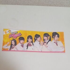 SKE48 Team Meat シール CoCo壱番屋 非売品