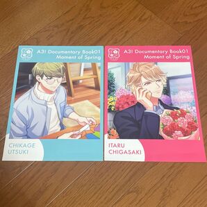 A3 ドキュメンタリーブック 2枚