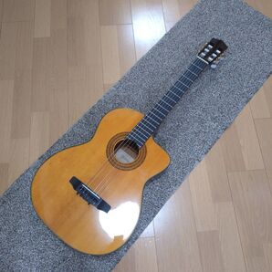 history HCGEG エレガット クラシックギター