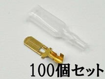 ①【250型 オス 端子+スリーブ 100個セット】 日本製 平型端子 検索用) バイク エーモン 10A 15A 20A 25A 30A_画像1