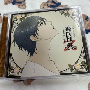 彼氏以外 TYPE-D Z