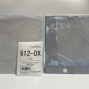 figma アルクェイド・ブリュンスタッド DX Edition(特典付き) シエル DX Edition 月姫