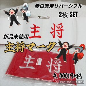 赤組 白組 紅白対抗 運動会 体育祭 玉入れ 応援団 綱引き キャプテンマーク 赤白帽 主将マーク イベント