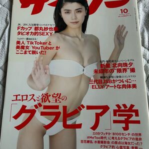 サイゾー 2019年10月28日号 北向珠夕 都丸紗也華 ELLY グラビア学 他に大和田南那 西村歩乃果